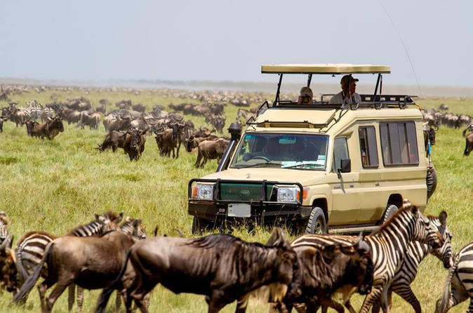 Serengeti National Park Holiday