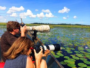 1 Day Mabamba Birding Tour