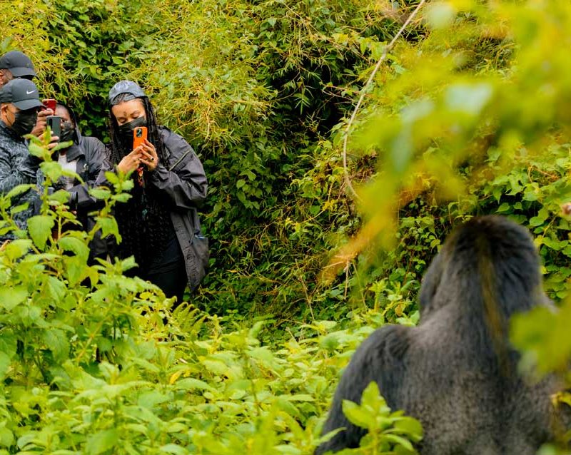6 Days Rwanda Primates Safari
