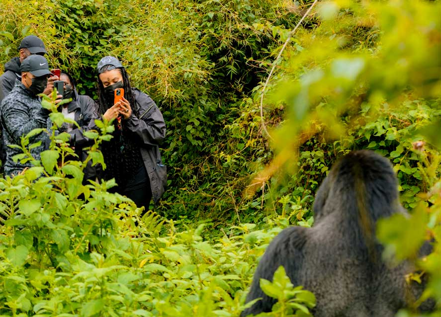 6 Days Rwanda Primates Safari
