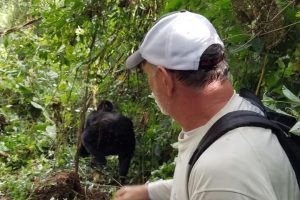 9 Days Uganda Rwanda Gorilla & Chimps|