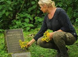 Dian Fossey hik