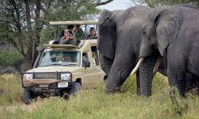 Full-Day Game Viewing in Tarangire National Park