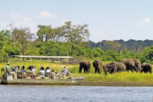 Game drive & Boat cruise – Queen Elizabeth Park