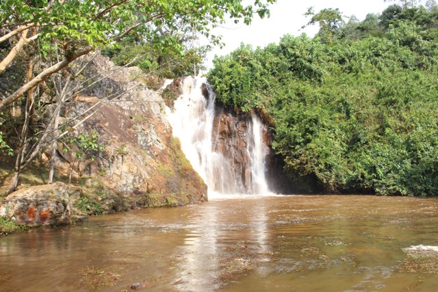 1 day Jinja, Sezibwa falls & Mabira forest