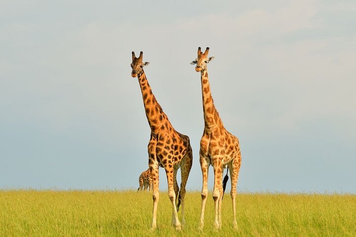 Lake Mburo National Park