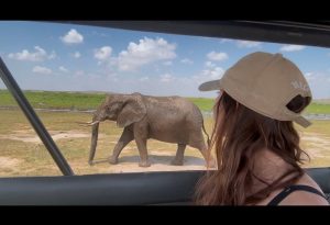 Maasai Mara