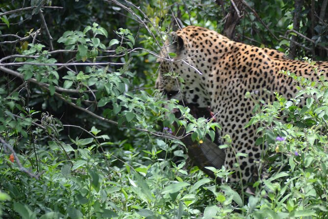 3 Day Masai Mara Safari Tours & Holidays