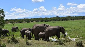 9 Day Kenya Wildlife Safaris & Adventure Tours