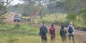 15 Day Uganda Adventure & Cultural Safari