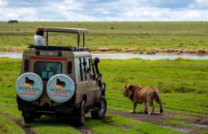 18 Day Uganda Rwanda Safari Holiday