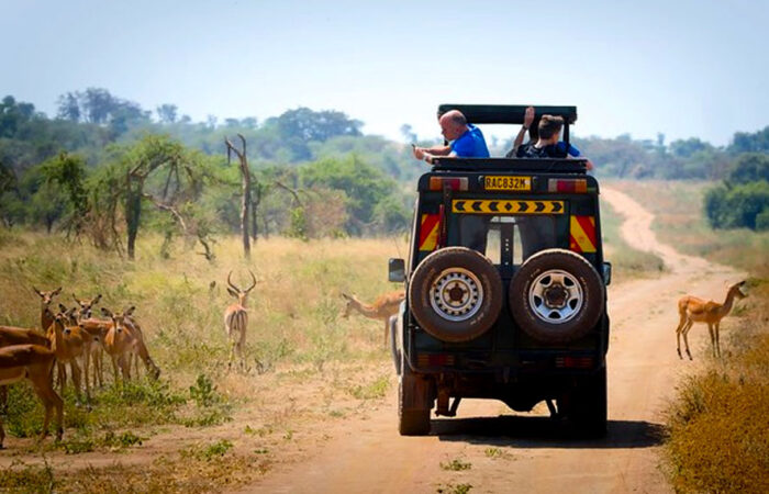 Best of Uganda Rwanda Safari