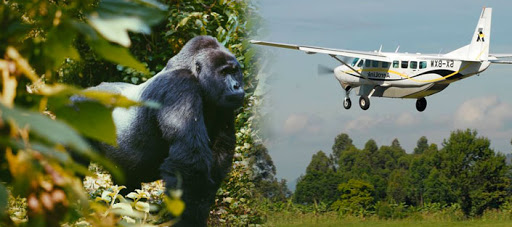 5 Days Queen Elizabeth & Gorilla Flying Safari