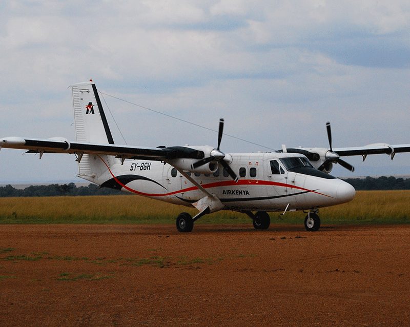 6-days-masai-mara-diani-beach-fly-in-safari