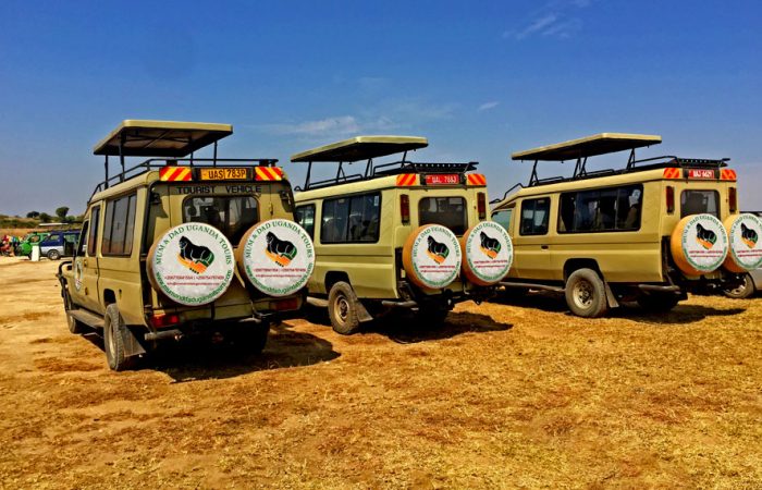 8-days-rwanda-gorilla-chimp-trekking-safari