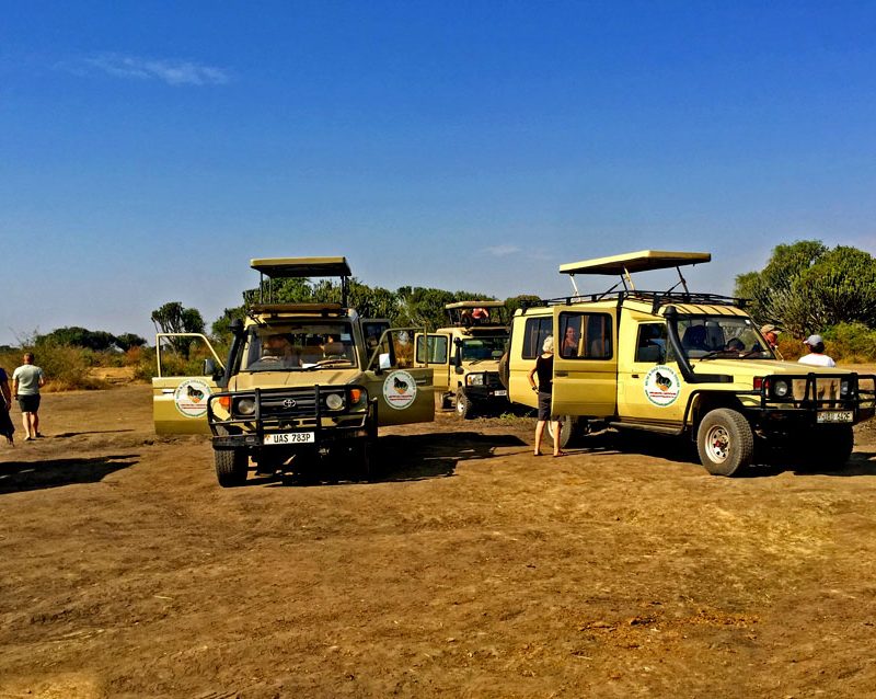 9 Days Rwanda safari