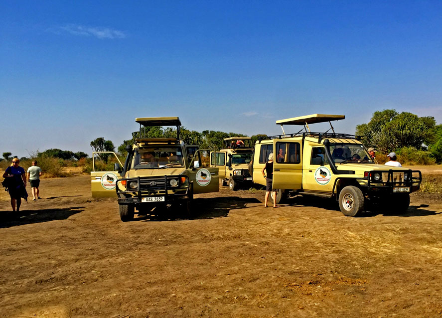 9 Days Rwanda safari