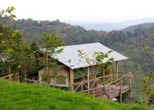 ruhija-gorilla-friends-lodge