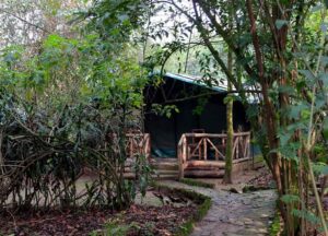 wagtail-eco-safari-camp