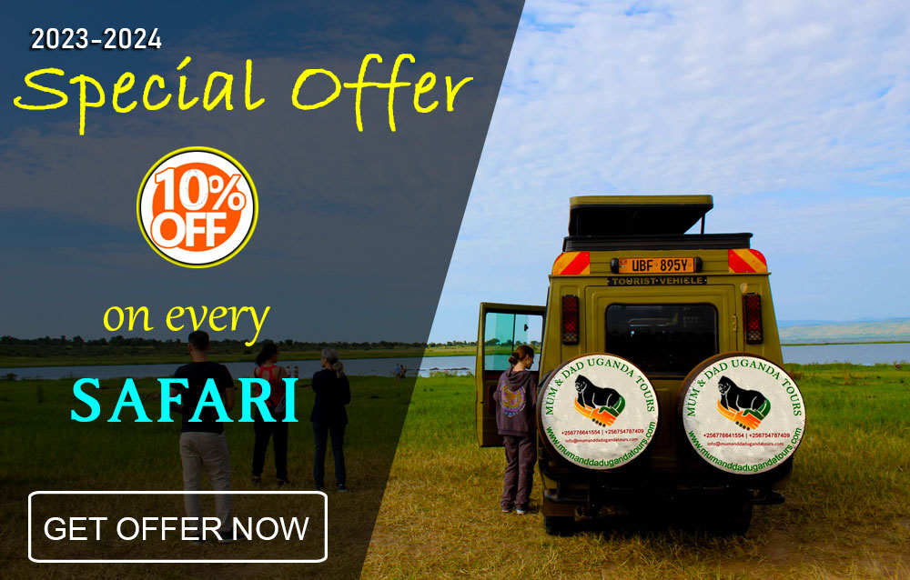 2023-2024-safari-offers-by-mum-and-dad-uganda-tours.