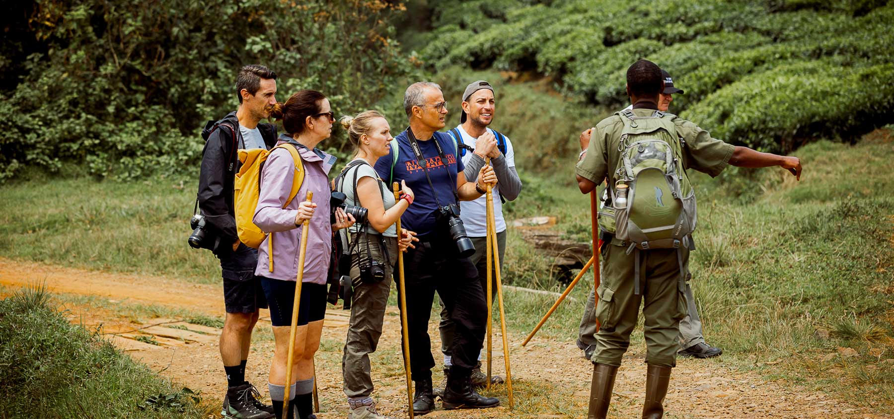 chimpanzee-tracking-tours-in-uganda-and-rwanda