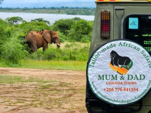 Travel information about Uganda