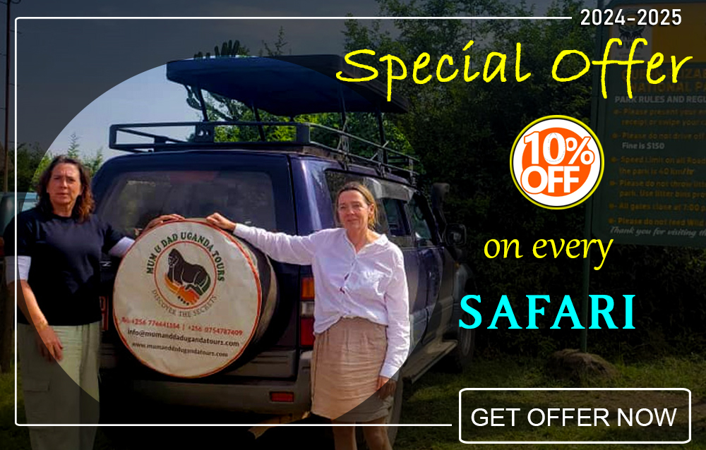 2024-2025-safari-offers-by-mum-and-dad-uganda-tours