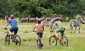Cycling safari in Lake Mburo National park