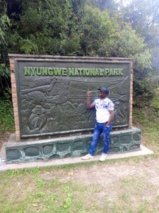 nyungwe park