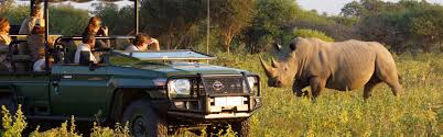 Budget-Friendly Wildlife Safari Packages