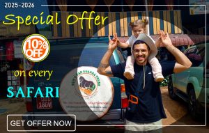 2025-2026-safari-offers-by-mum-and-dad-uganda-tours