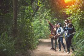 Walk in the wild with Mum and Dad Uganda Tours