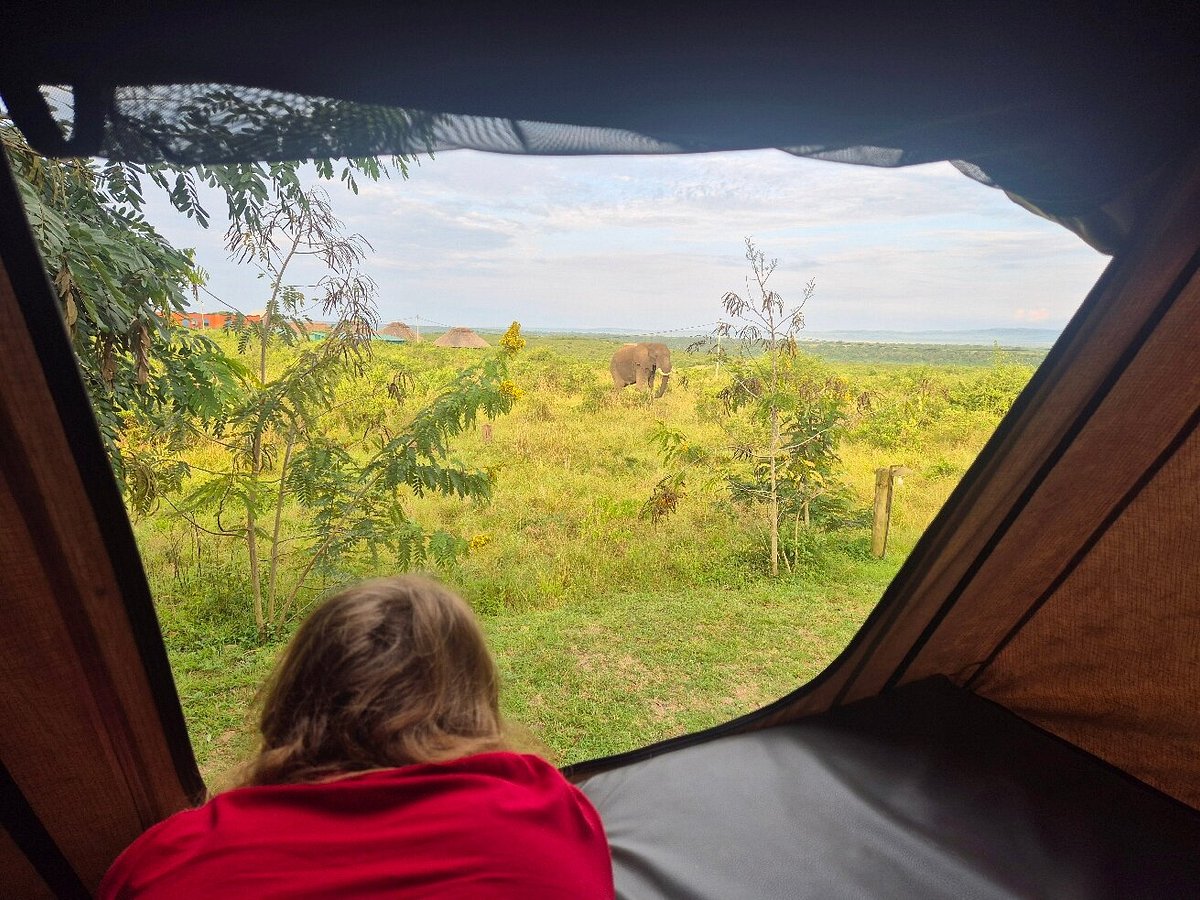 Why You Should Visit Uganda in 2026-2027