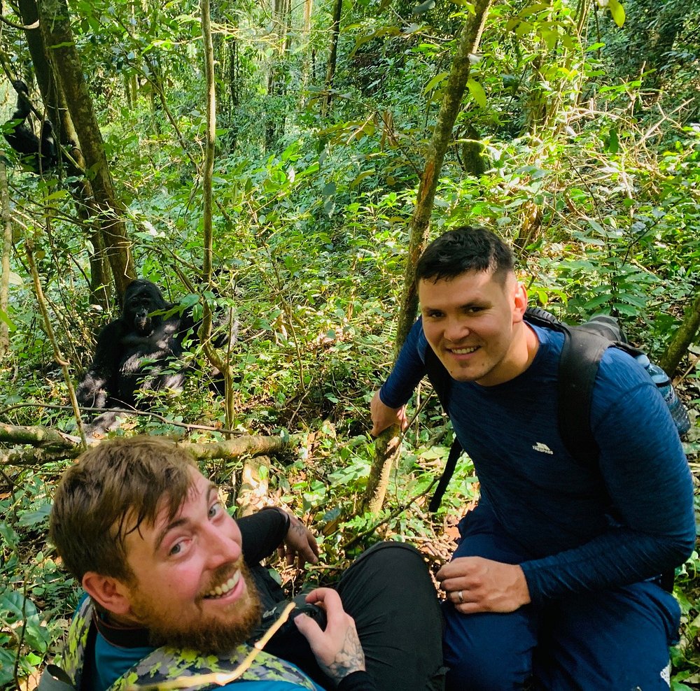 UWA Introduces Discounted Gorilla and Chimpanzee Permits in Uganda