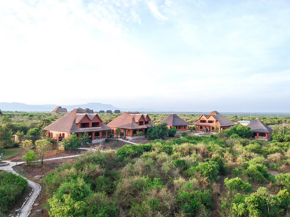 Discover the Best Safari Lodges in Uganda
