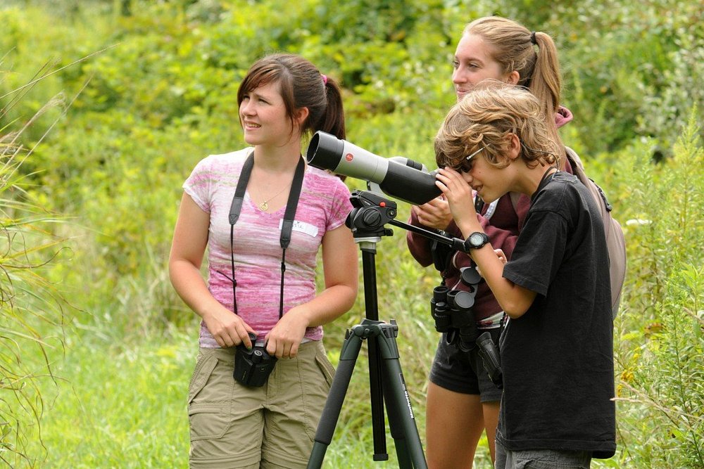 youth birders bird watching