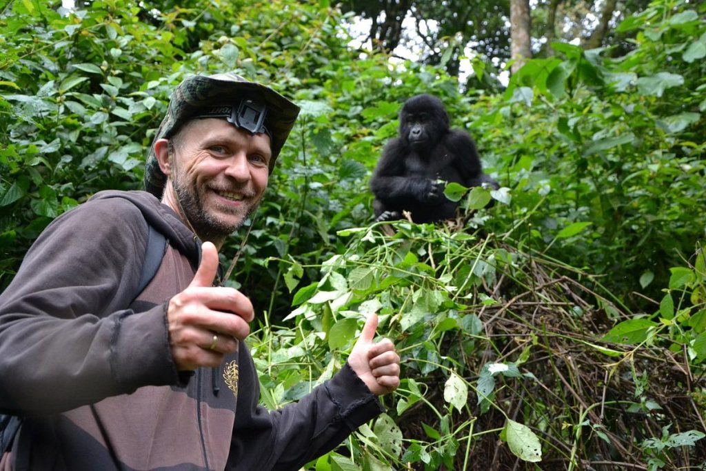gorilla tour